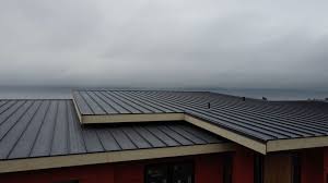 Best Steel Roofing  in Ina, IL